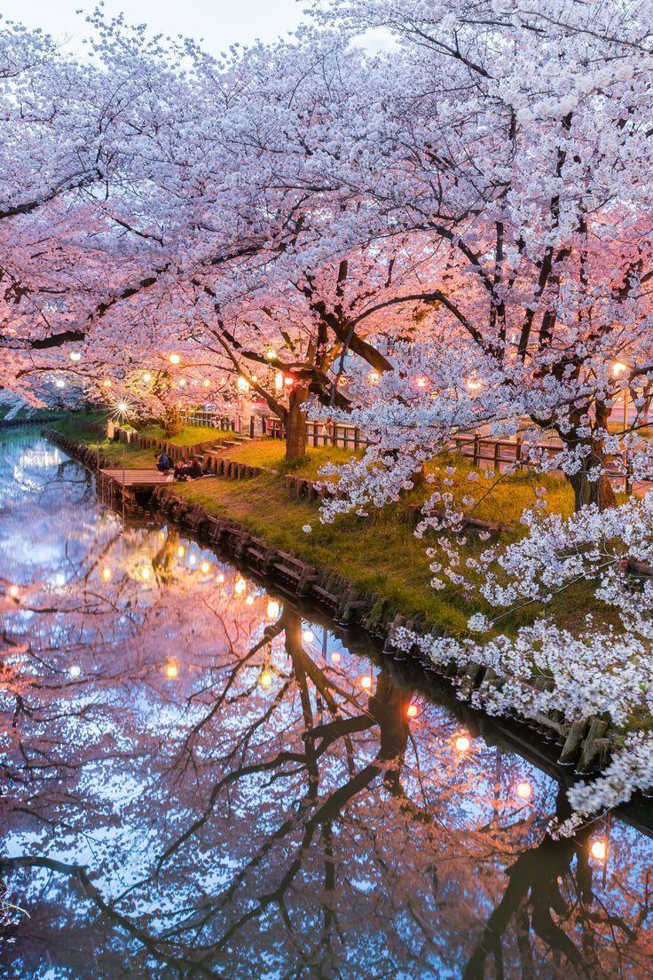 Secret Garden Enchanted Floral Harmony