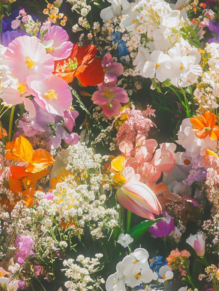 Mystic Meadow Wildflower Whimsy Arrangement